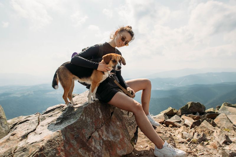Girl hiking with dog in Vermont